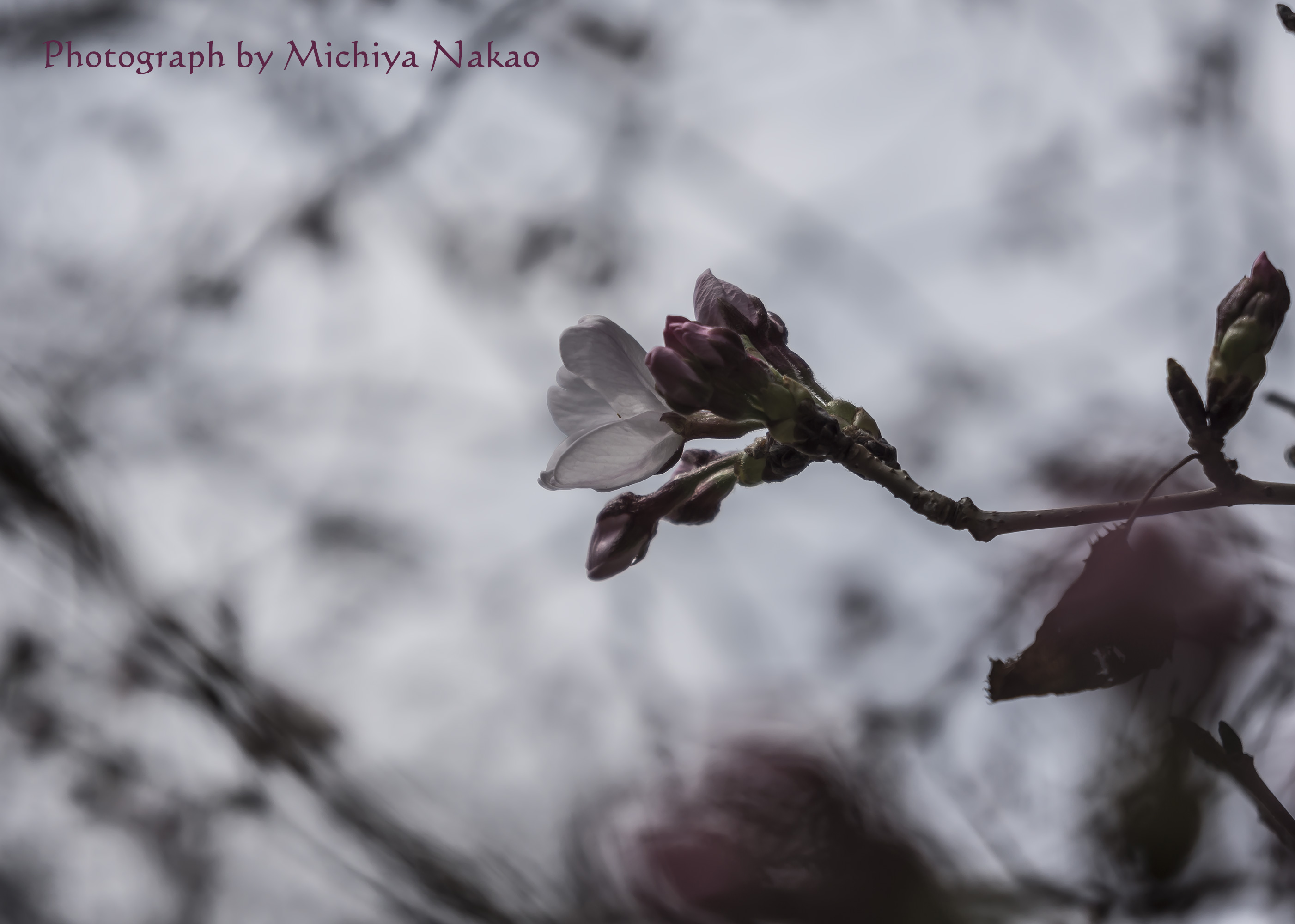 MemoryOfWind